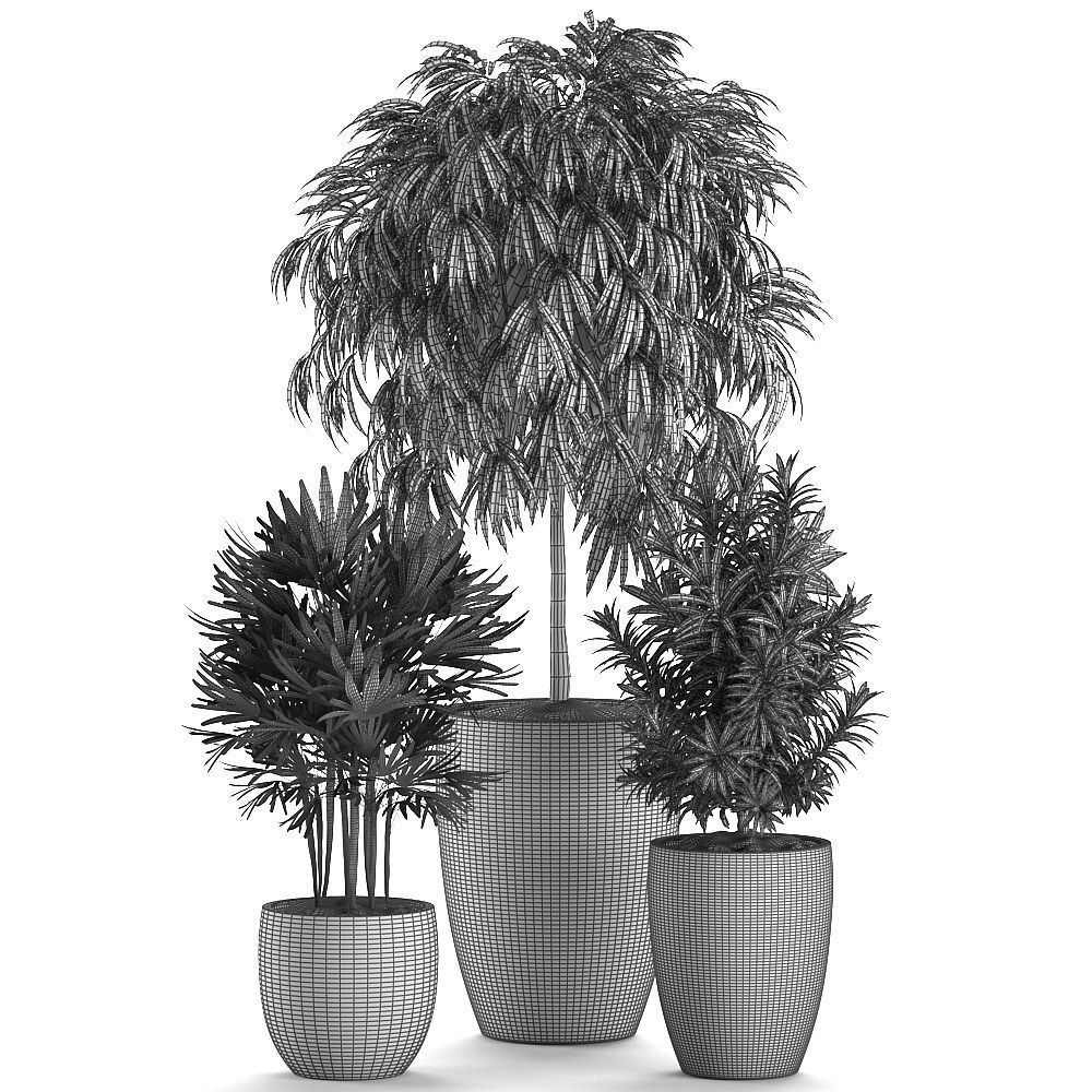 Decorative plants in a black flowerpot 577 3D model_8