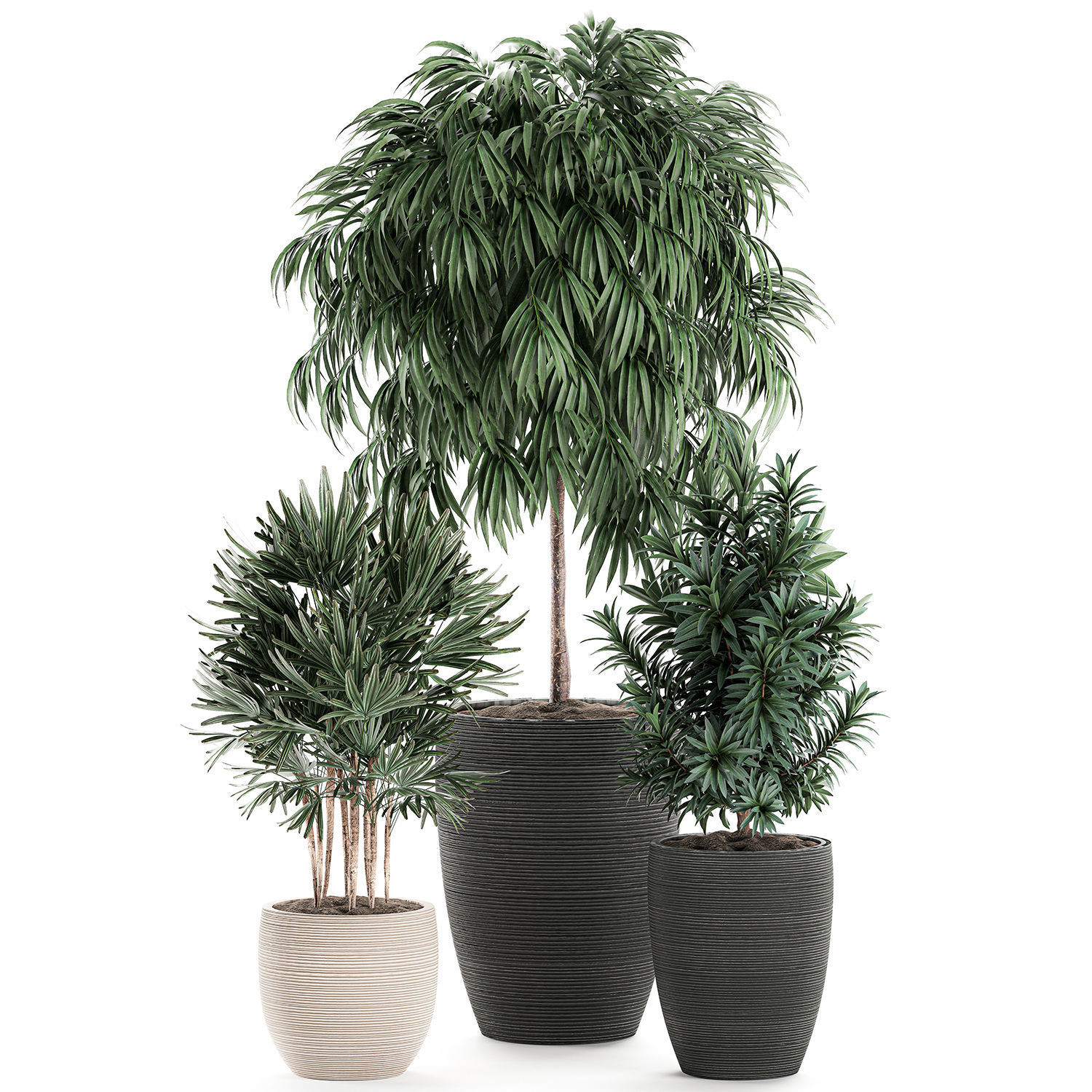 Decorative plants in a black flowerpot 577 3D model_2