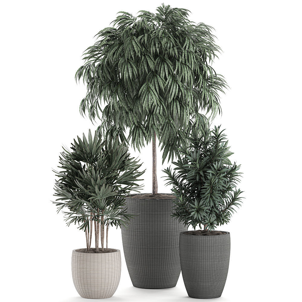 Decorative plants in a black flowerpot 577 3D model_7