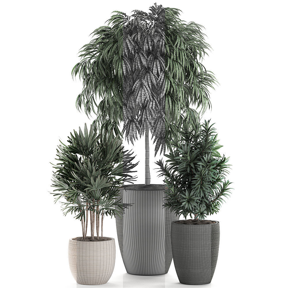 Decorative plants in a black flowerpot 577 3D model_6