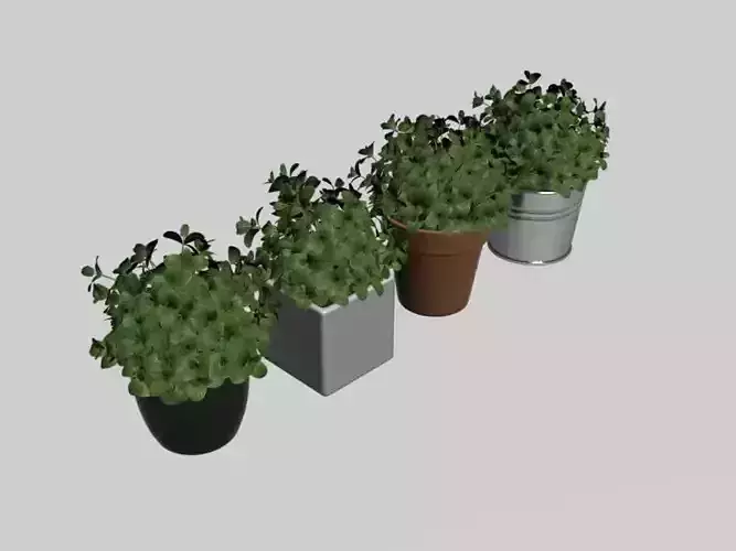 For different Plants