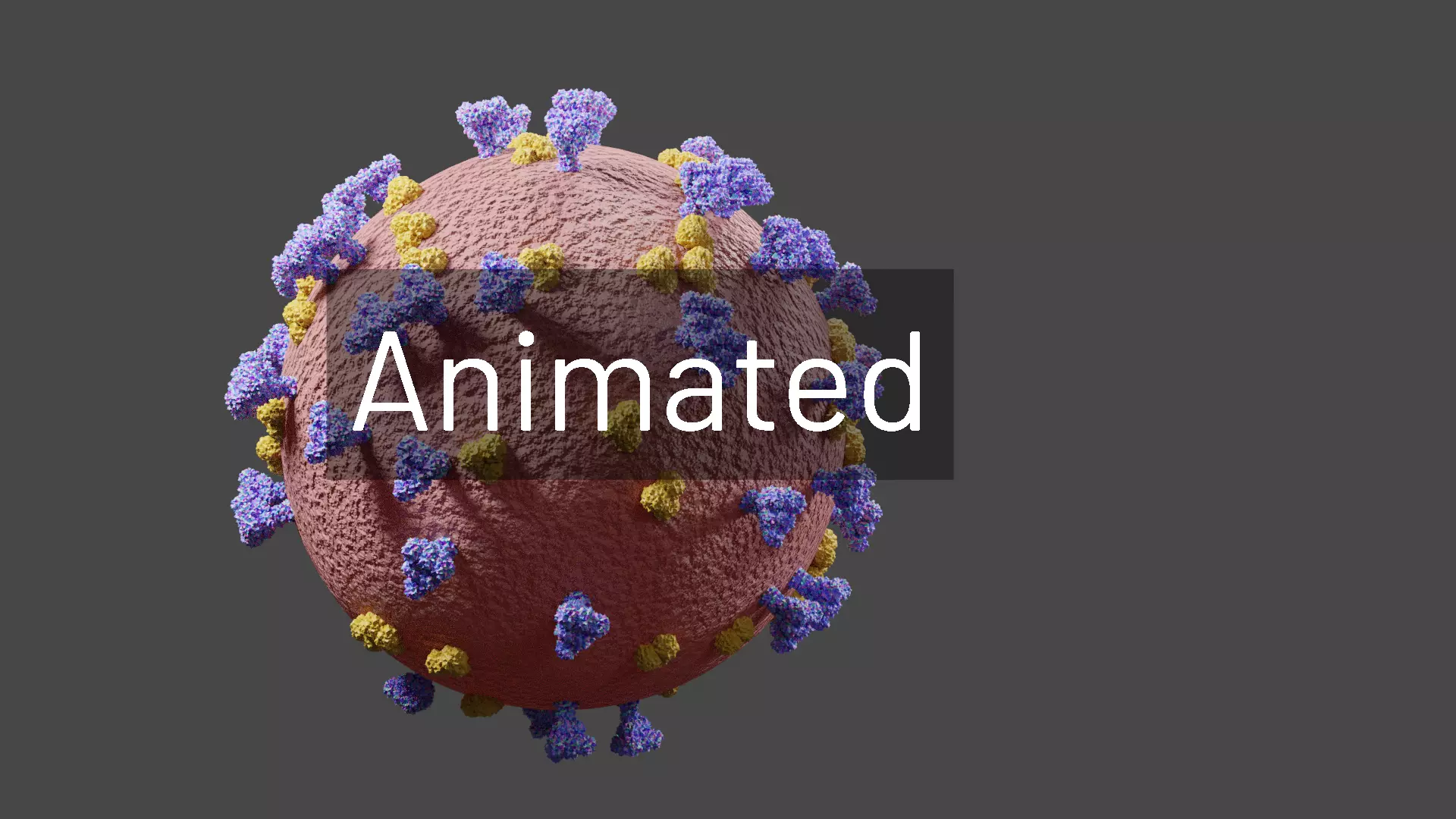 corona virus with animation Free 3D model_0