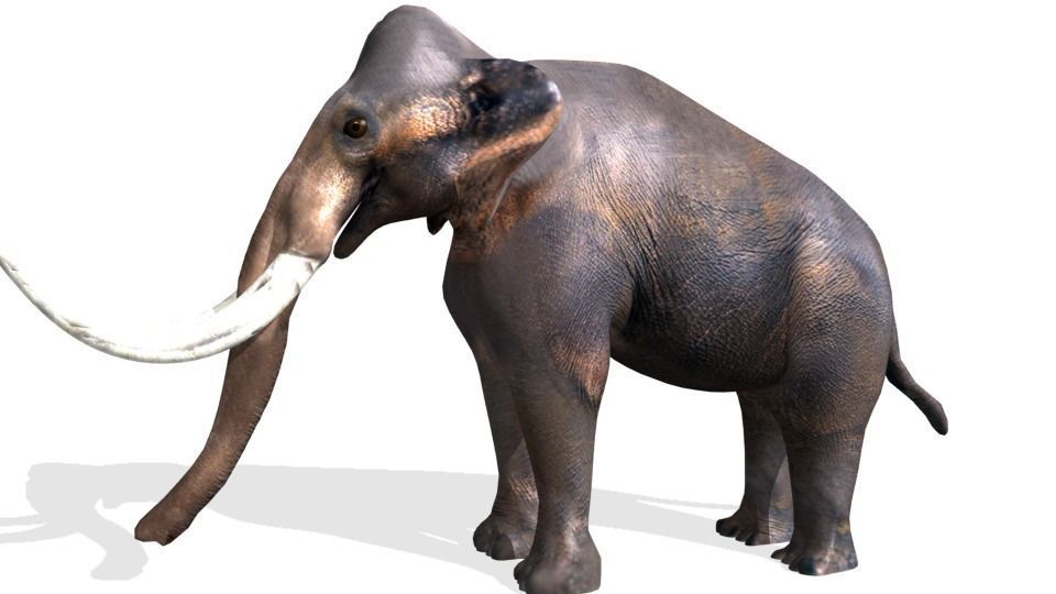 mammoth Low-poly 3D model_2