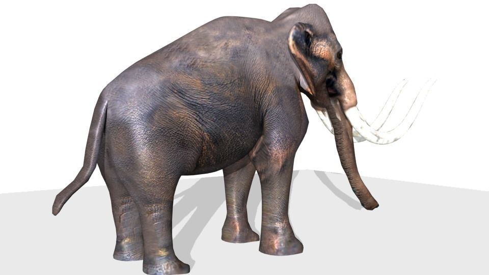 mammoth Low-poly 3D model_11