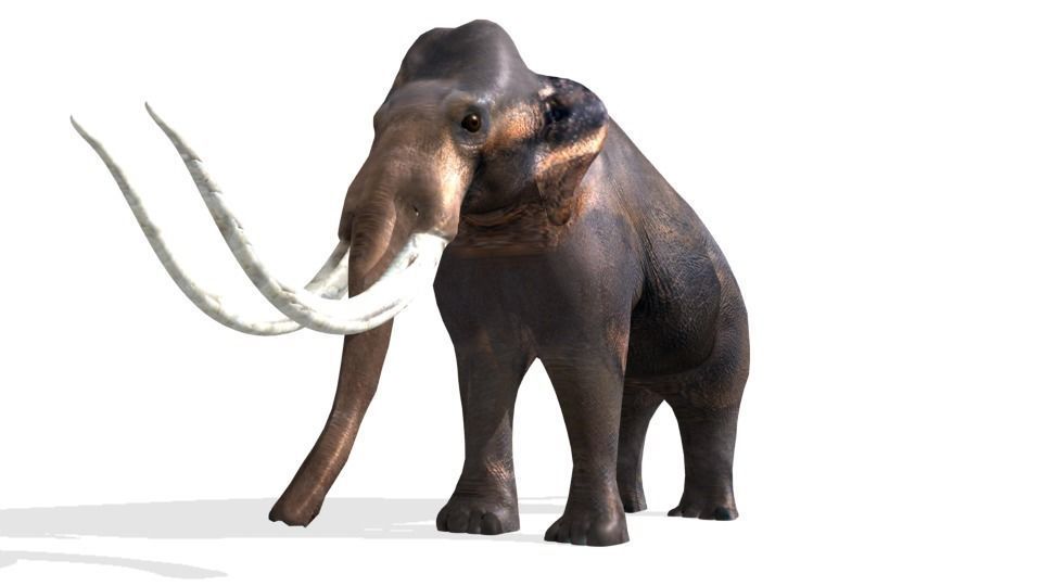 mammoth Low-poly 3D model_8