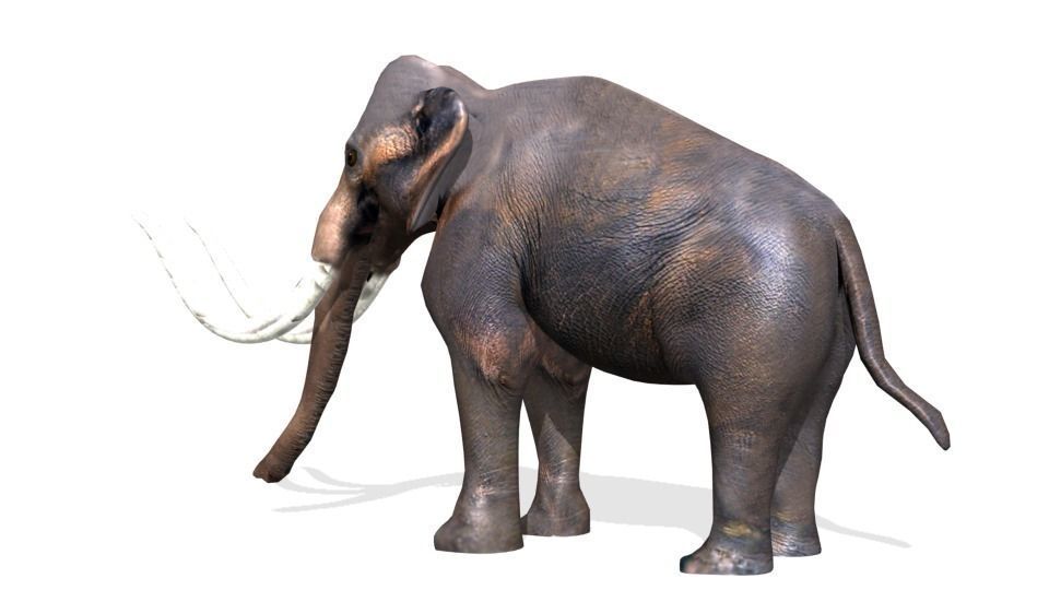 mammoth Low-poly 3D model_10