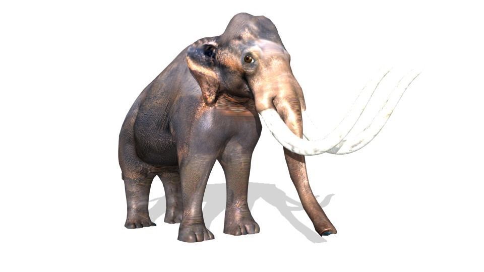 mammoth Low-poly 3D model_13