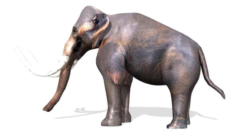 mammoth Low-poly 3D model_7