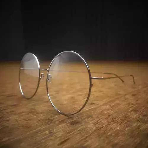 Harry Potter Eye Wear Type