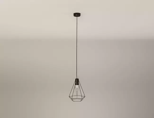 Industrial Wire Metal Ceiling Lamp Free 3D model