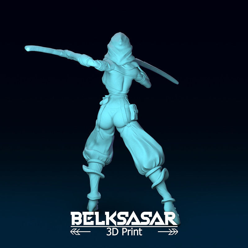Fantasy Female Assassin 3D print model_6
