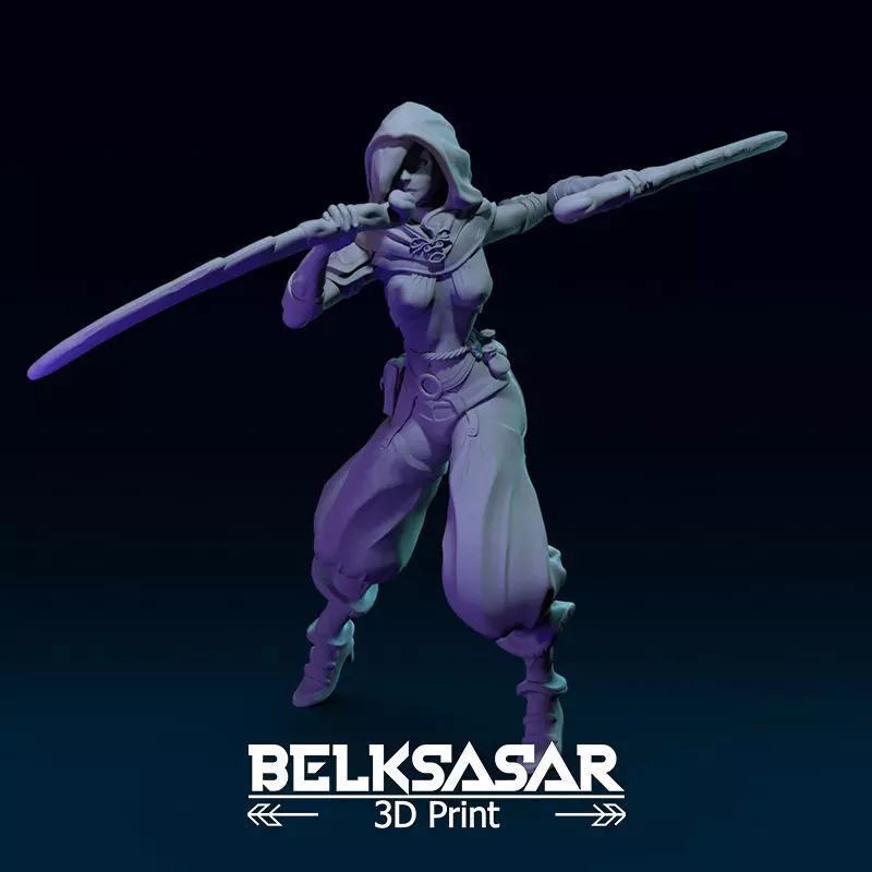 Fantasy Female Assassin 3D print model_0