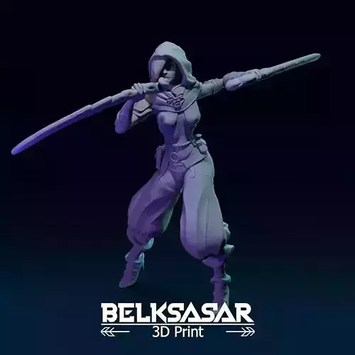 Fantasy Female Assassin