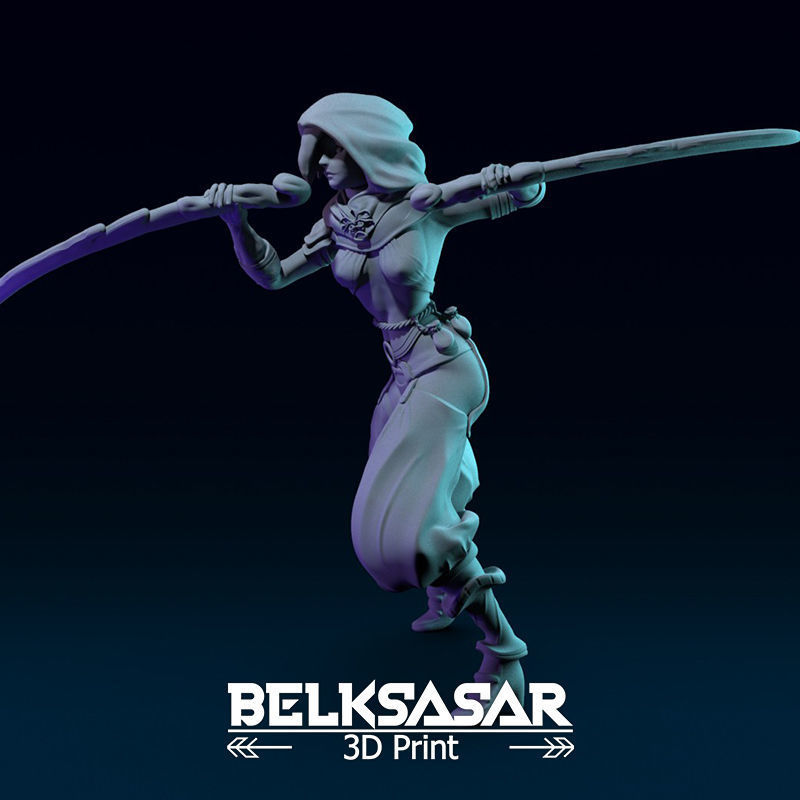 Fantasy Female Assassin 3D print model_1