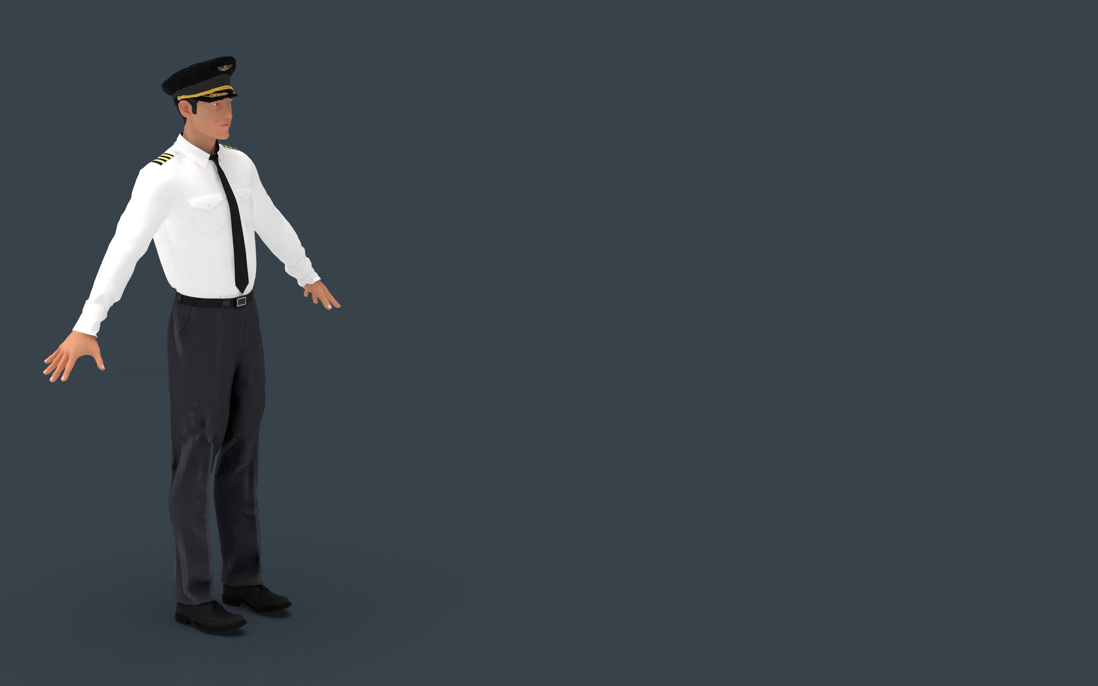 Airline captain Low-poly 3D model_13