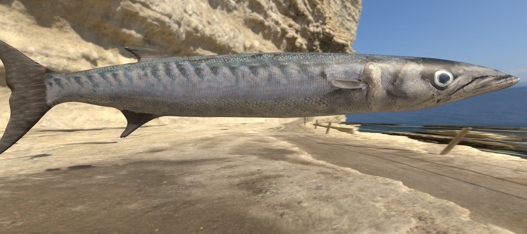 Collection of 7 photorealistic fishes animated Low-poly 3D model_56