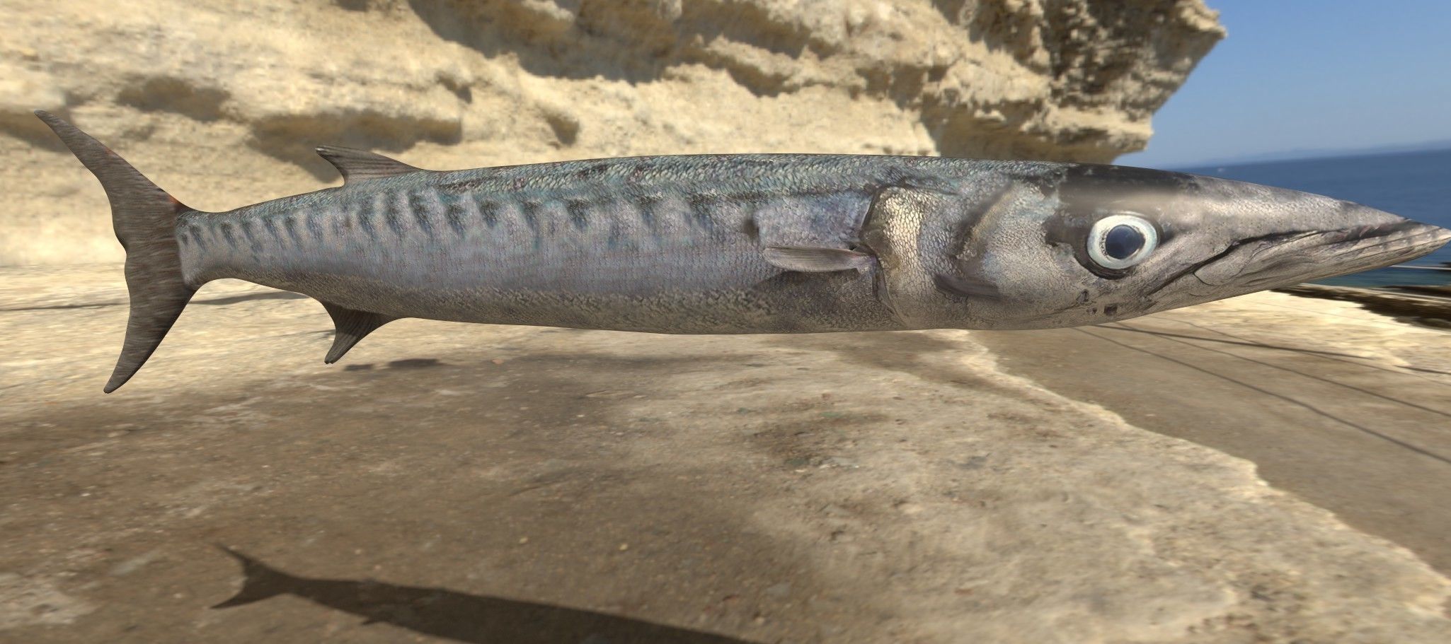 Collection of 7 photorealistic fishes animated Low-poly 3D model_55