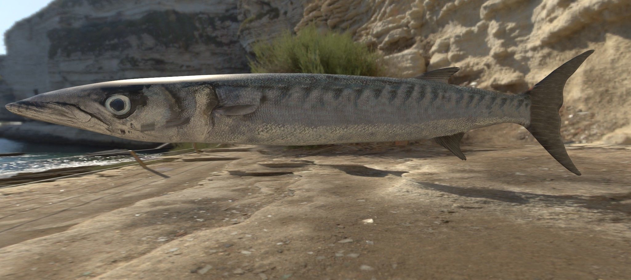 Collection of 7 photorealistic fishes animated Low-poly 3D model_9