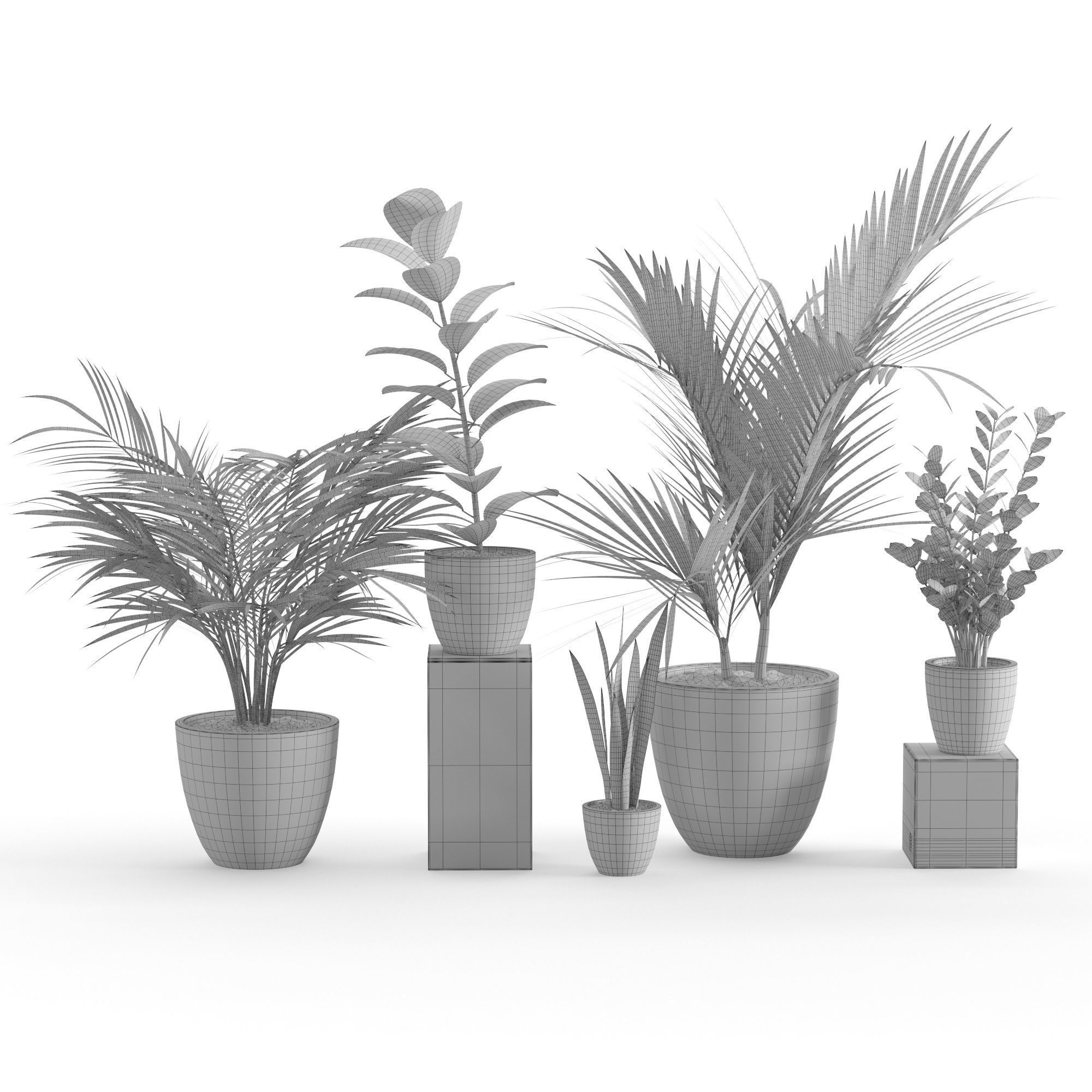 Houseplant 47 3D model_2