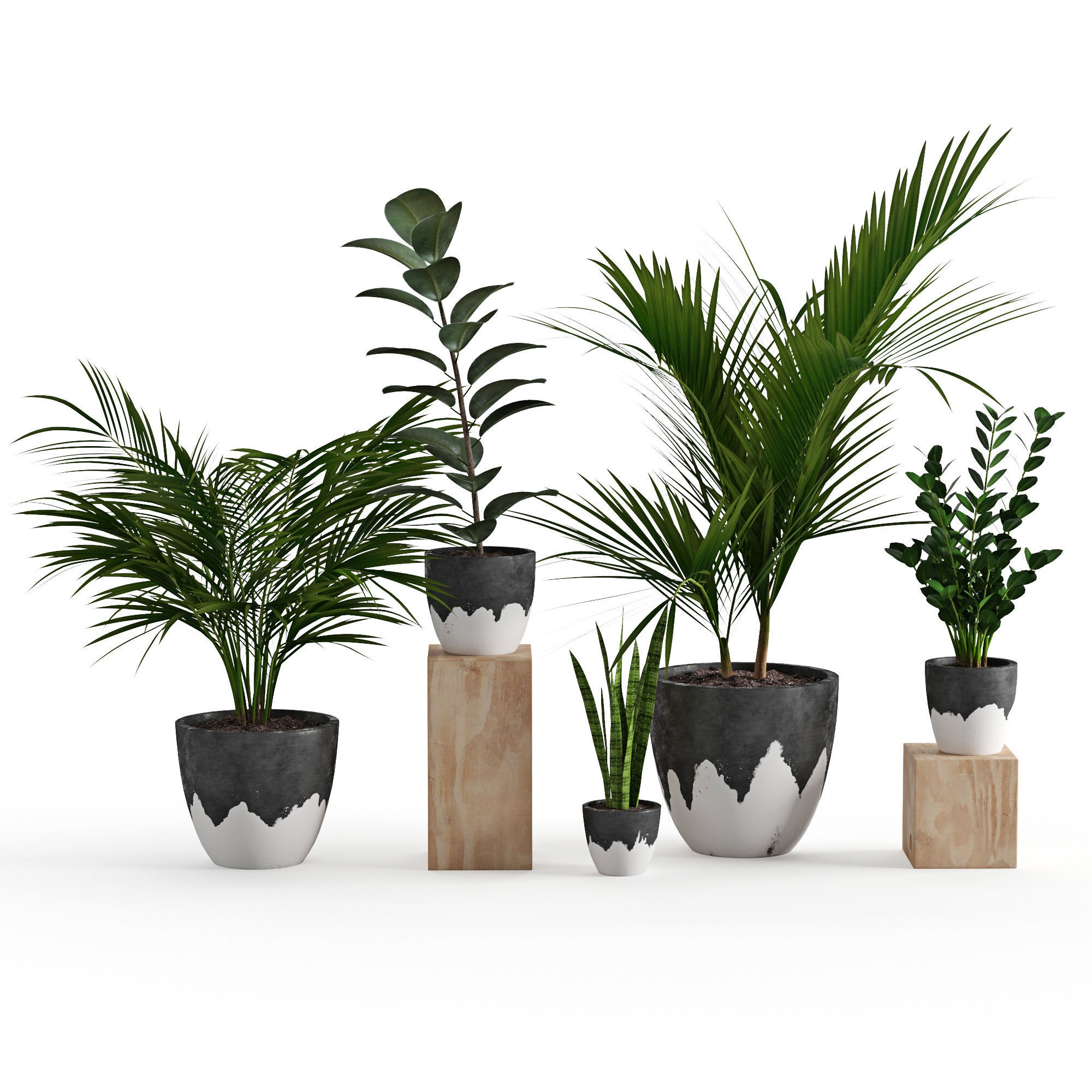 Houseplant 47 3D model_1