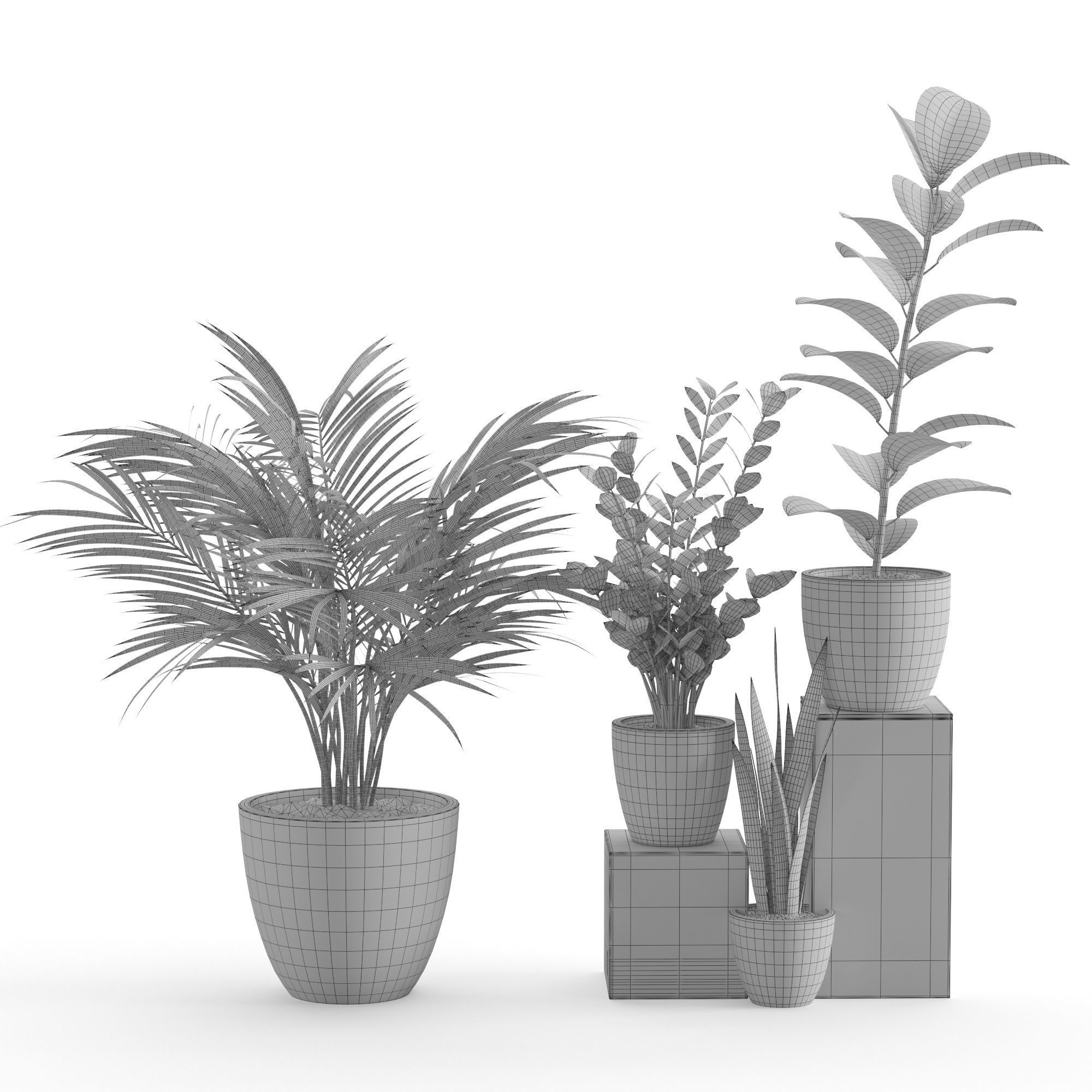 Houseplant 47 3D model_8