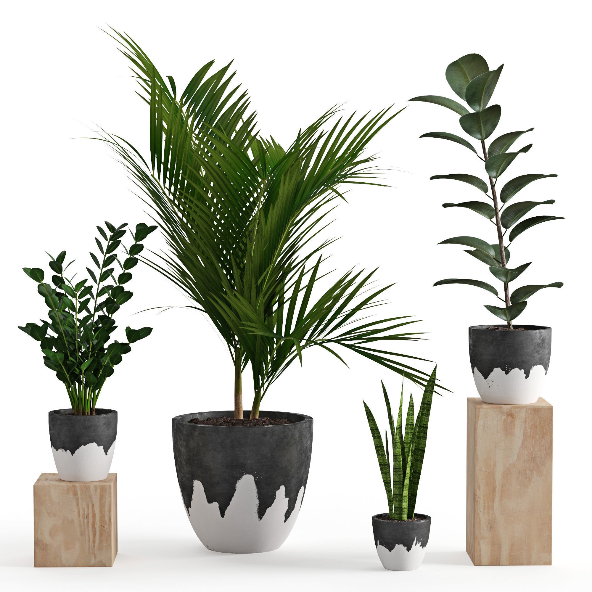 Houseplant 47 3D model_6
