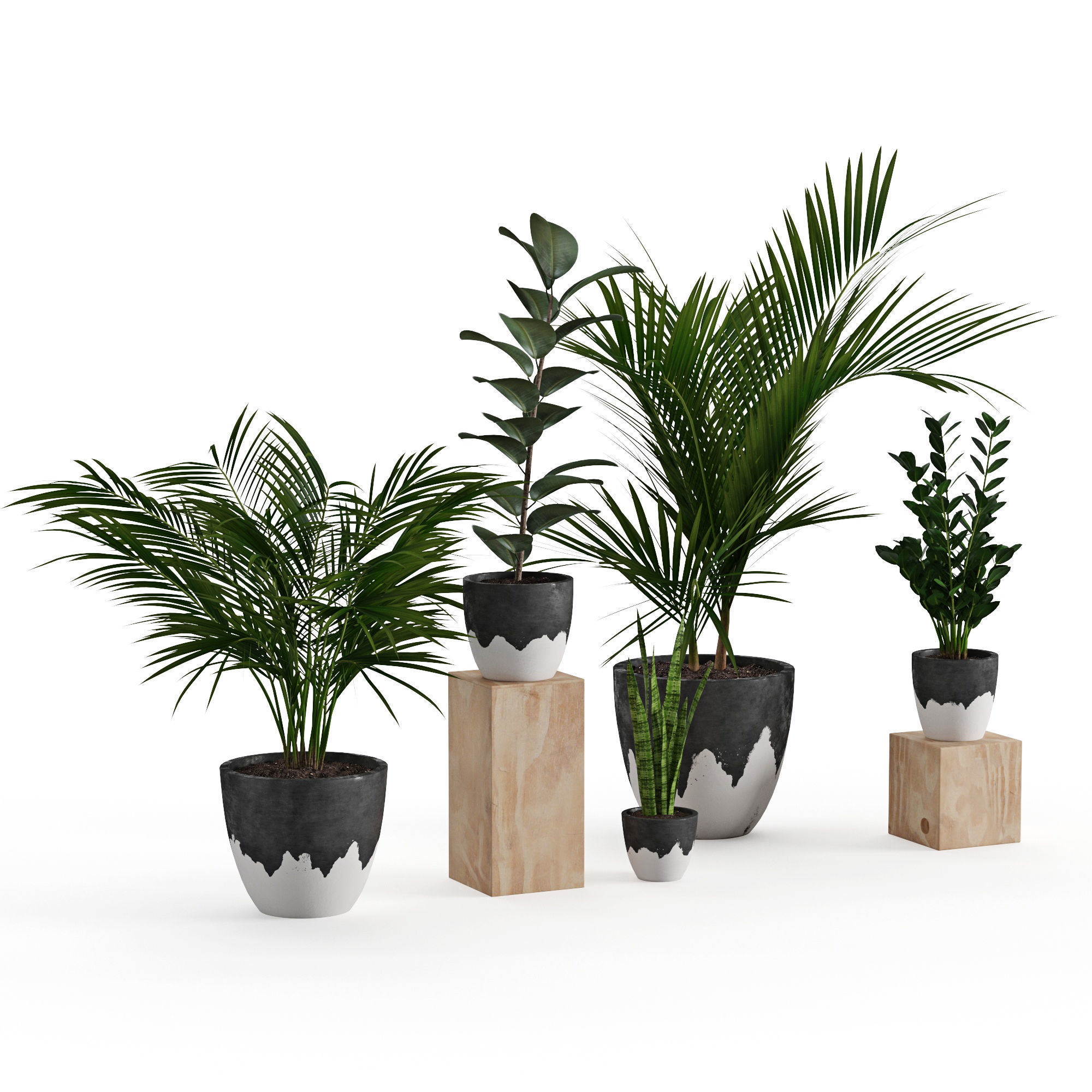 Houseplant 47 3D model_11