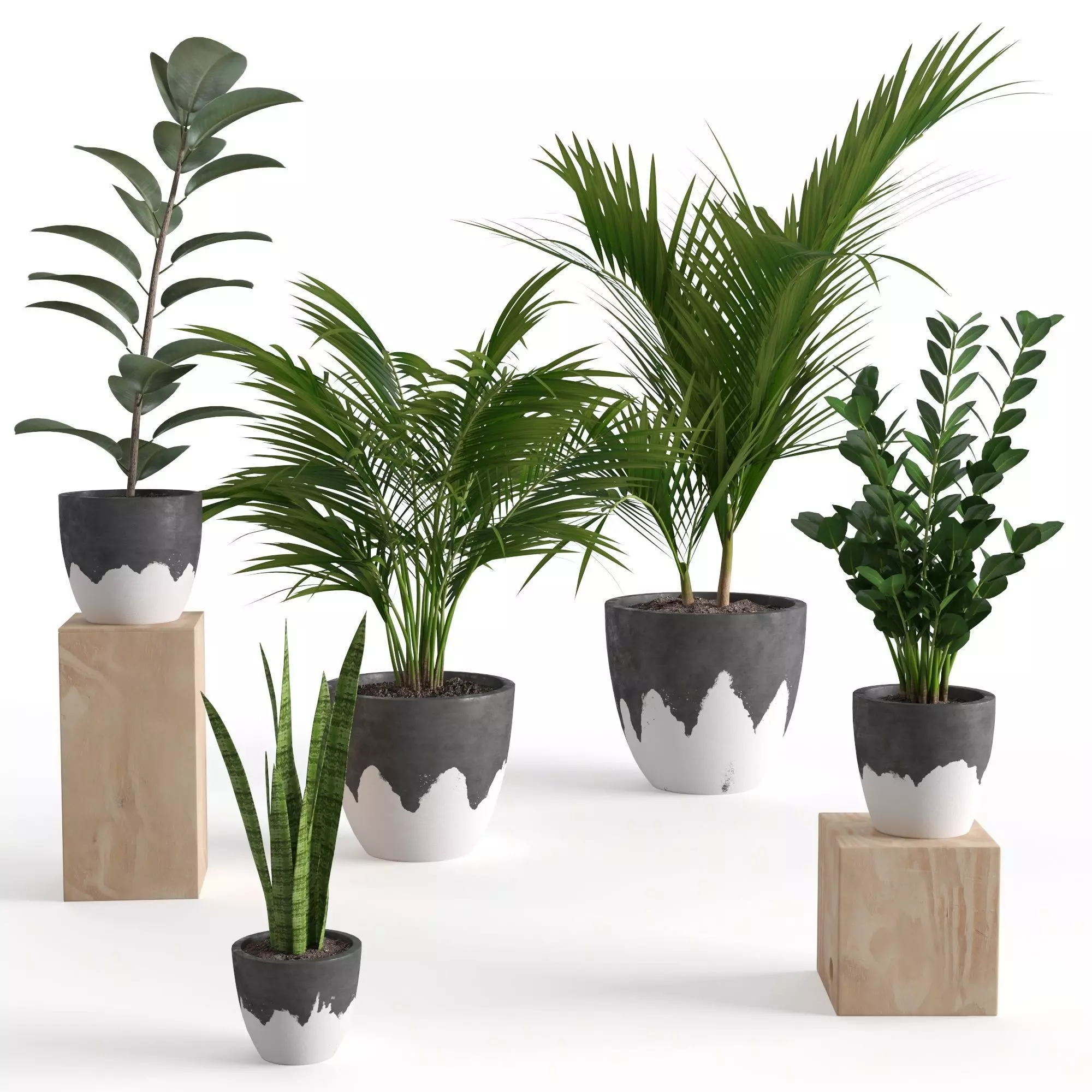 Houseplant 47 3D model_0