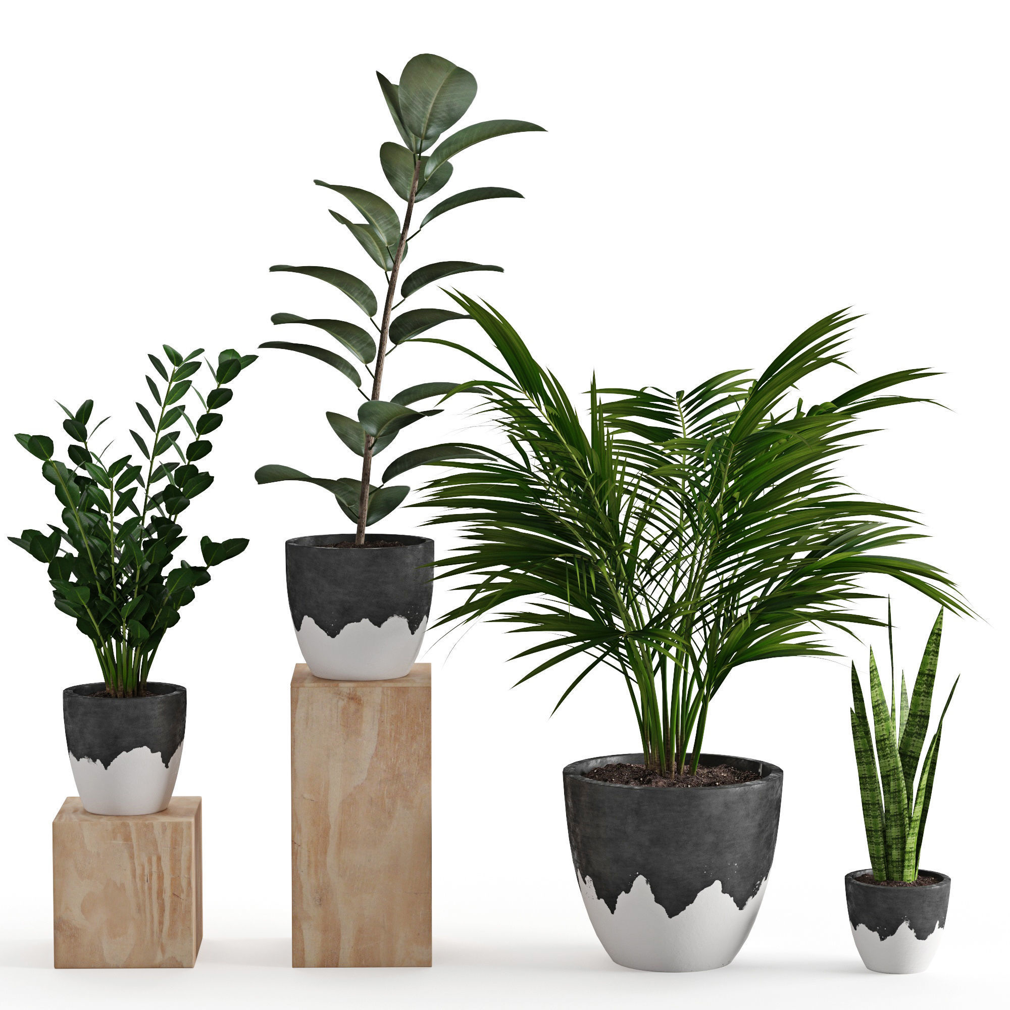 Houseplant 47 3D model_5
