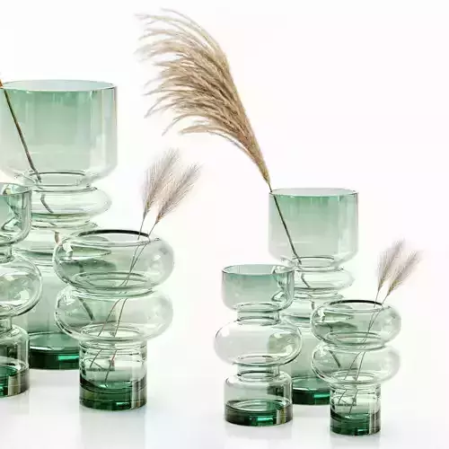 HM glass vases with dried flower pampas grass