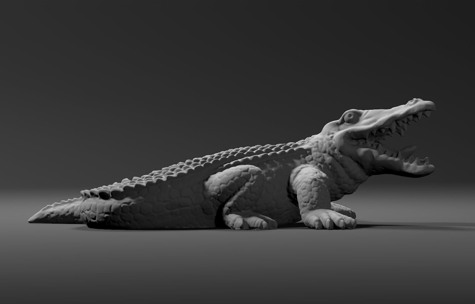Alligator Crocodile  3D model_3