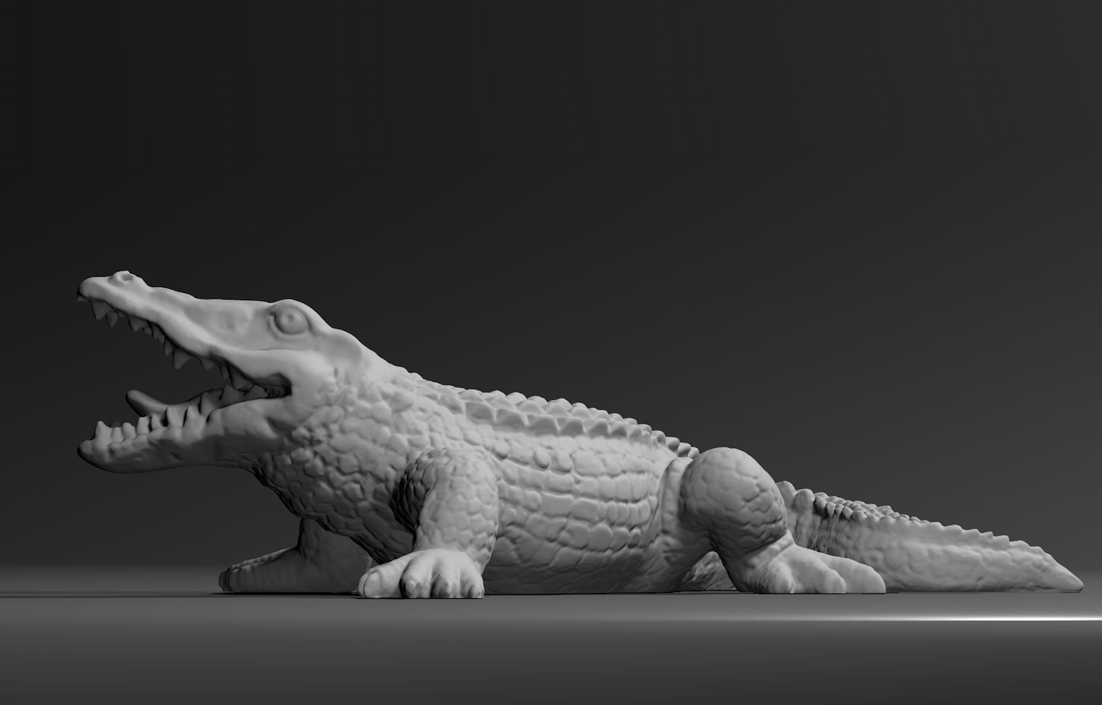 Alligator Crocodile  3D model_4