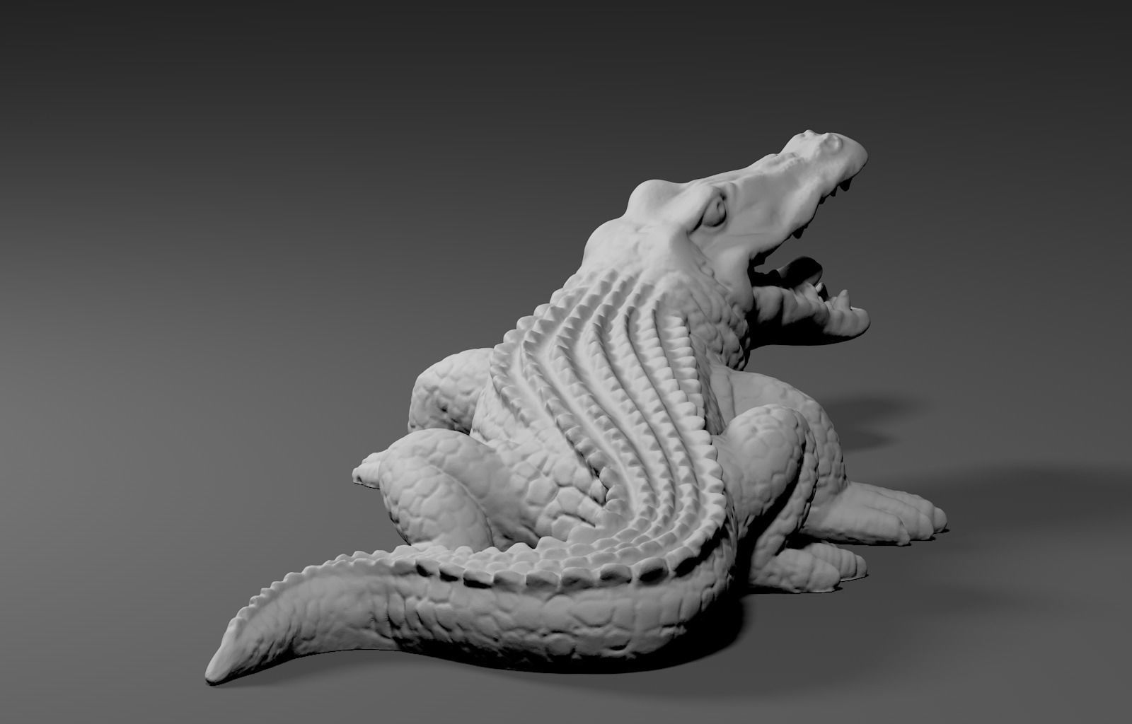 Alligator Crocodile  3D model_5