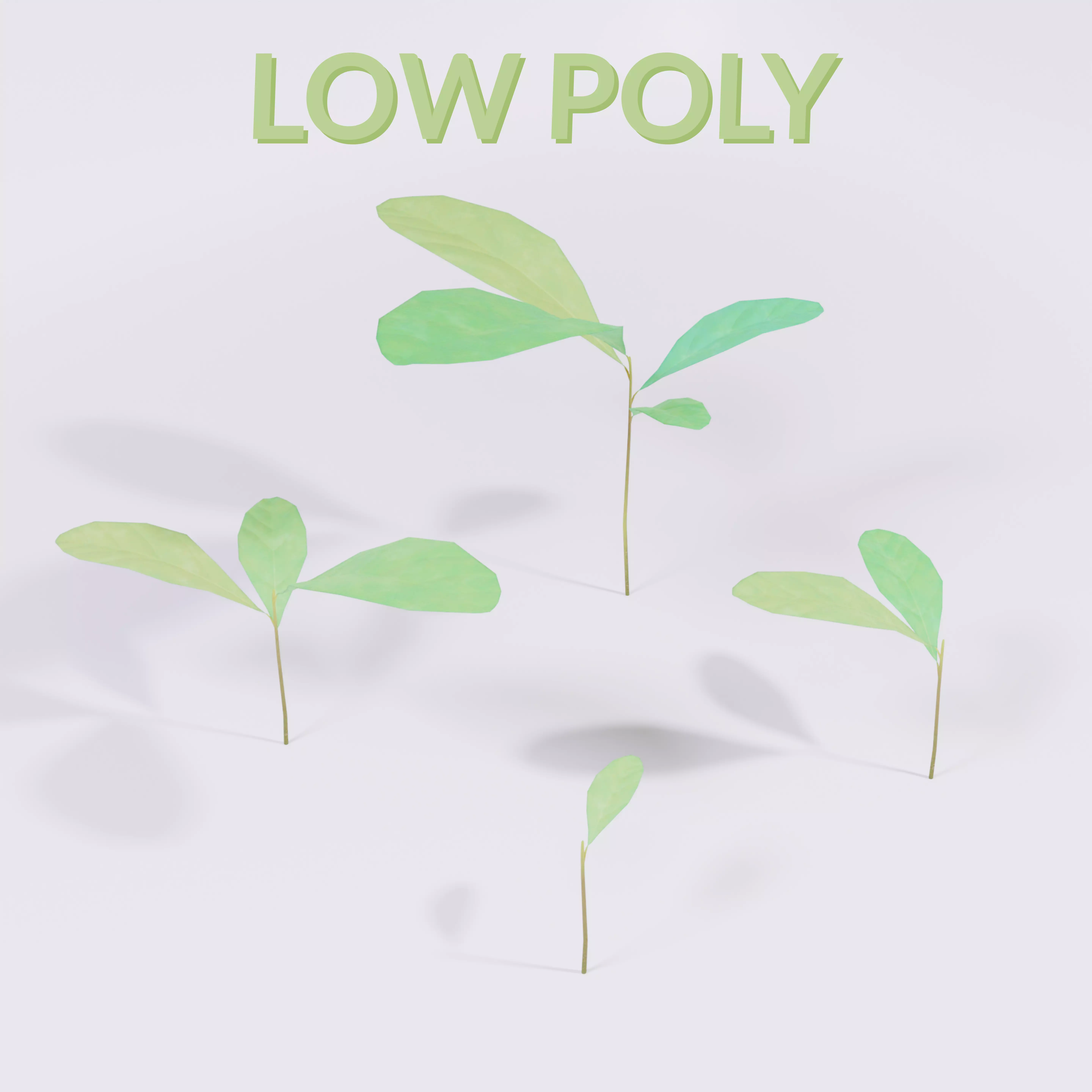 Four Small Wild Plants Low-poly 3D model_0