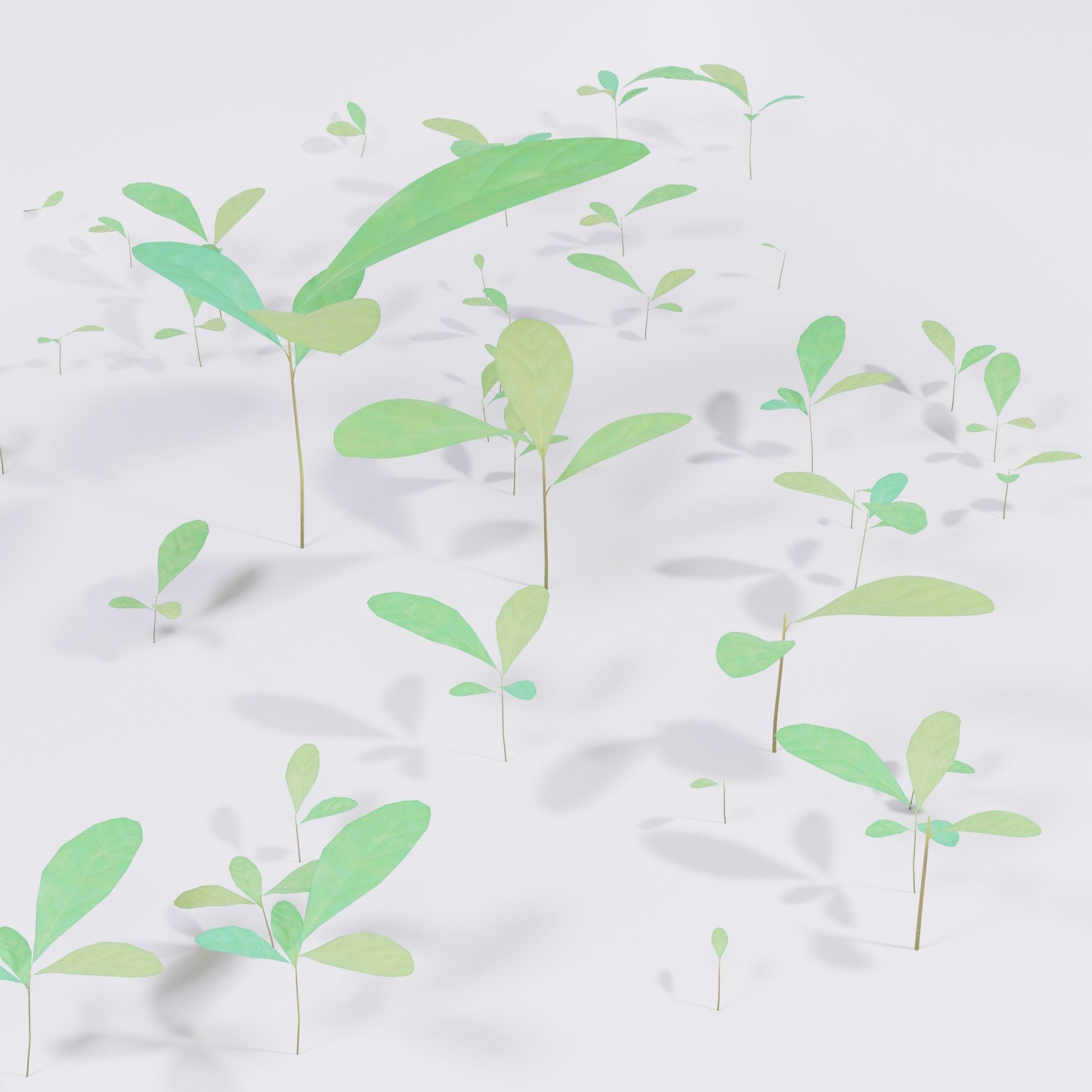 Four Small Wild Plants Low-poly 3D model_7