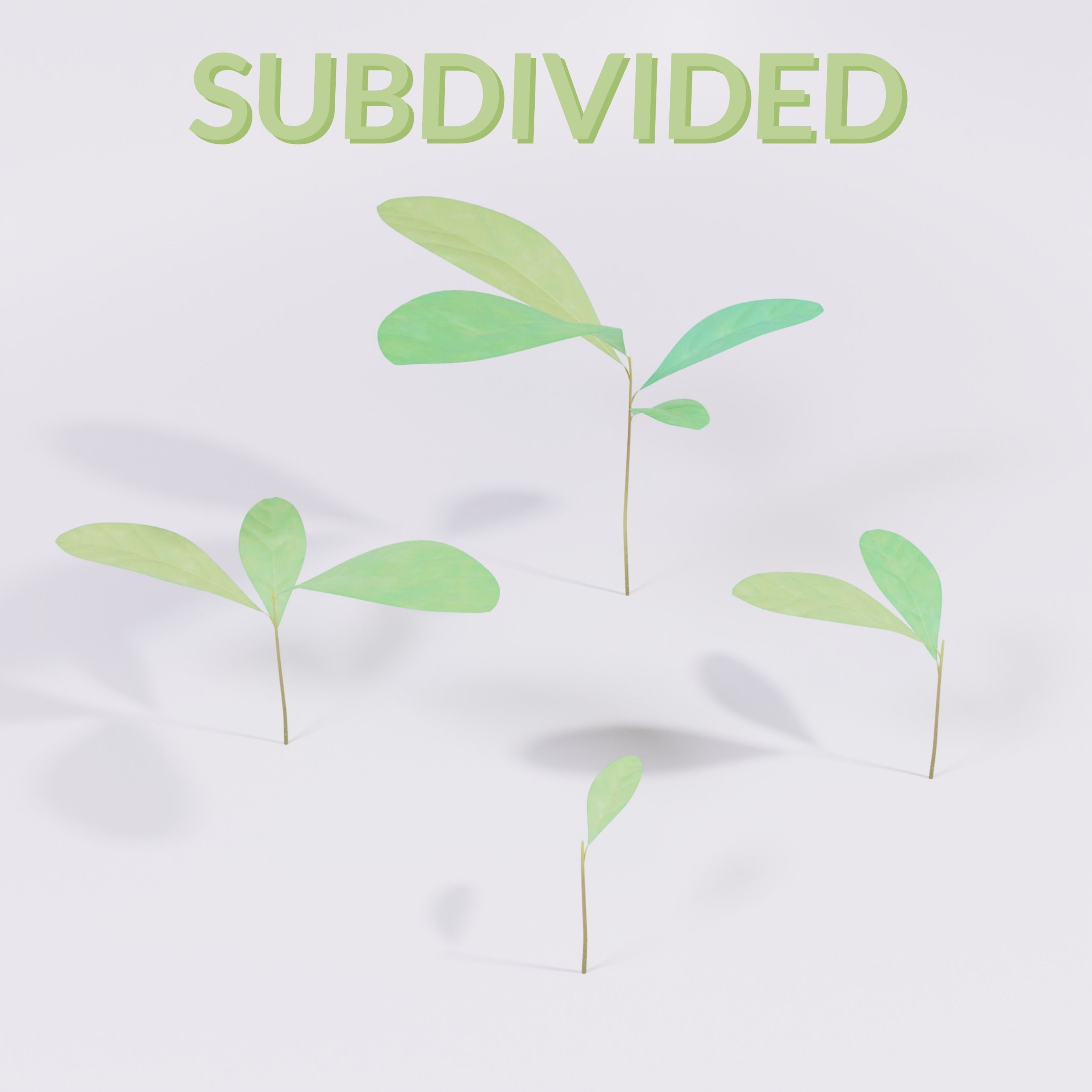 Four Small Wild Plants Low-poly 3D model_1