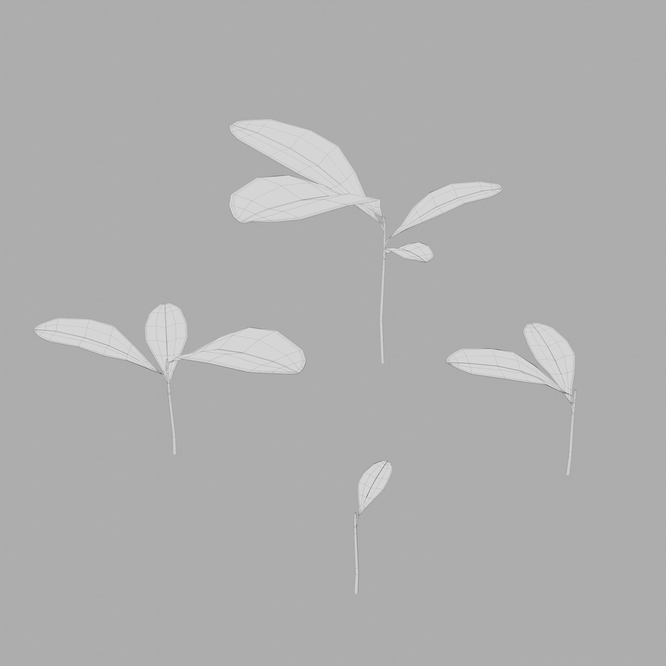 Four Small Wild Plants Low-poly 3D model_4
