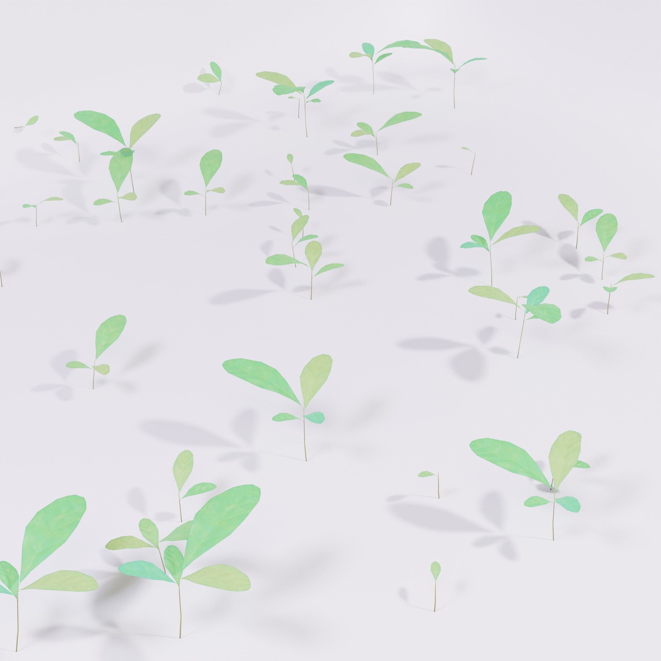 Four Small Wild Plants Low-poly 3D model_5