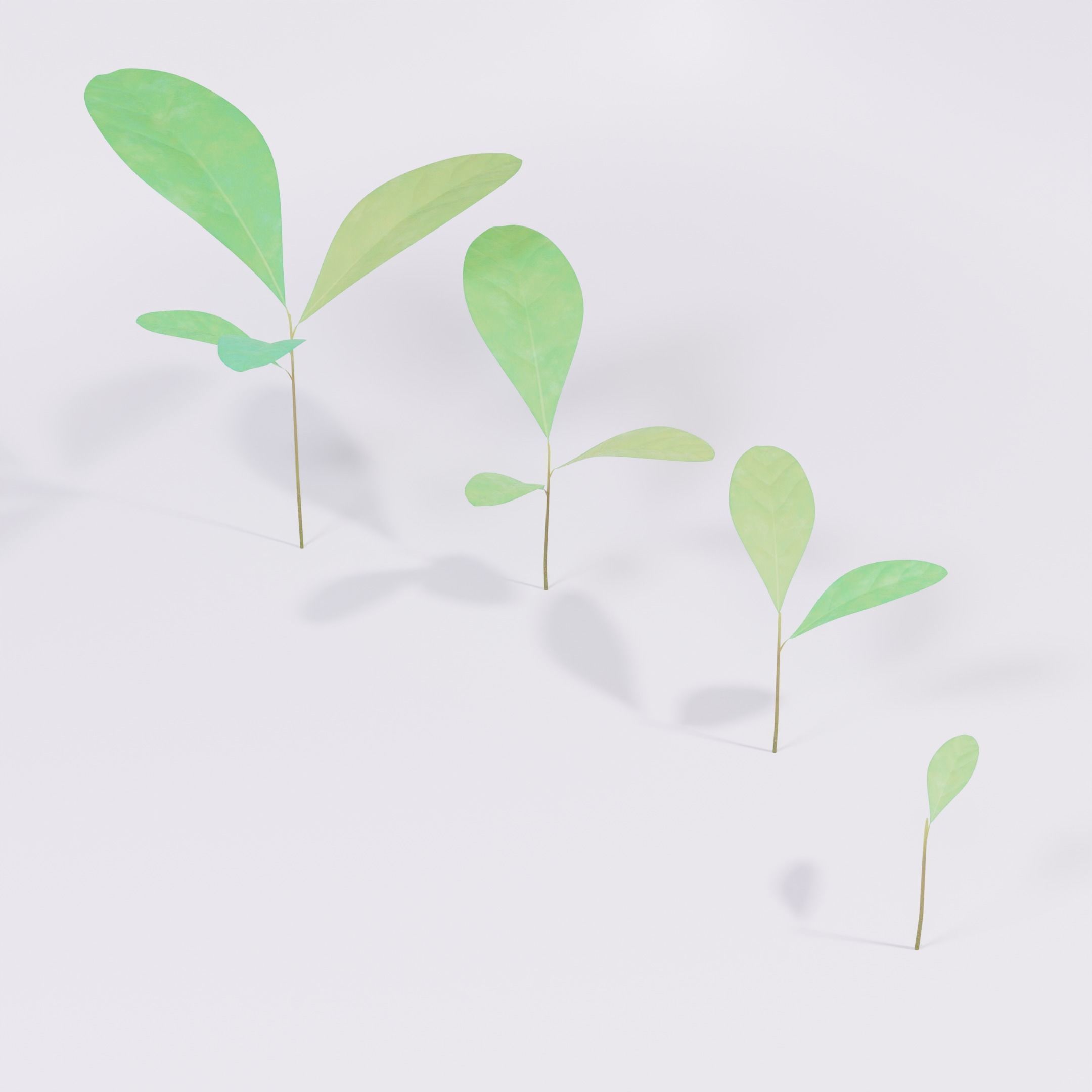 Four Small Wild Plants Low-poly 3D model_6