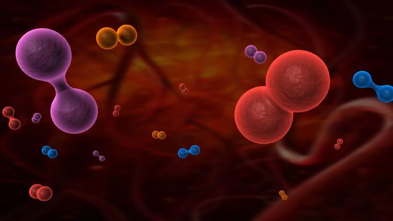 Cell division animation 3D model