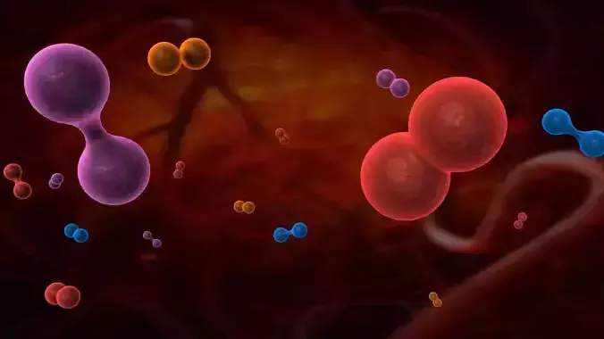 Cell division animation 3D model