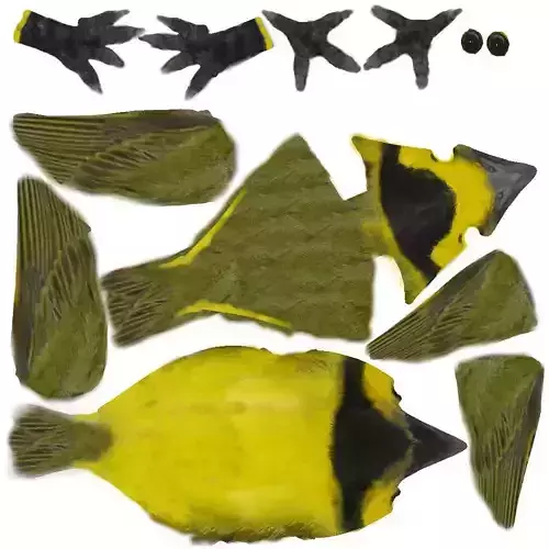 Bird V1 3D Model Free 3D model