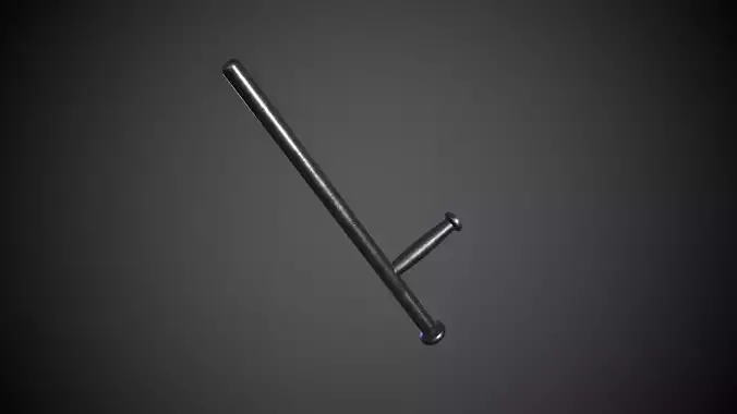 Police Baton