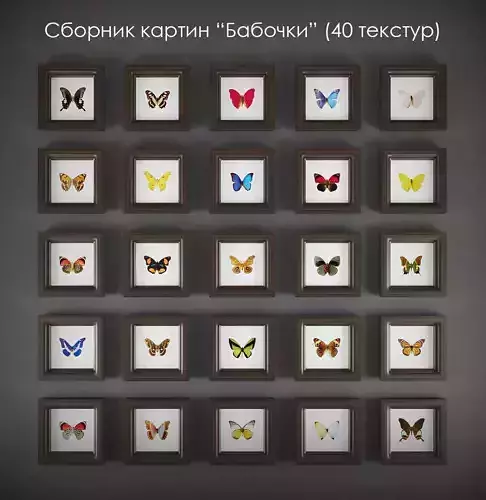 Picture Frames butterflies