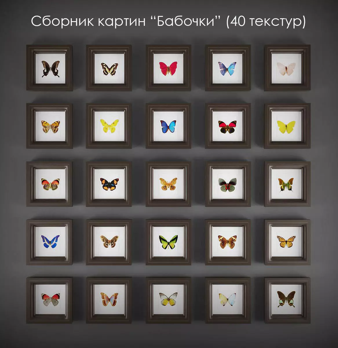 Picture Frames butterflies 3D model_0