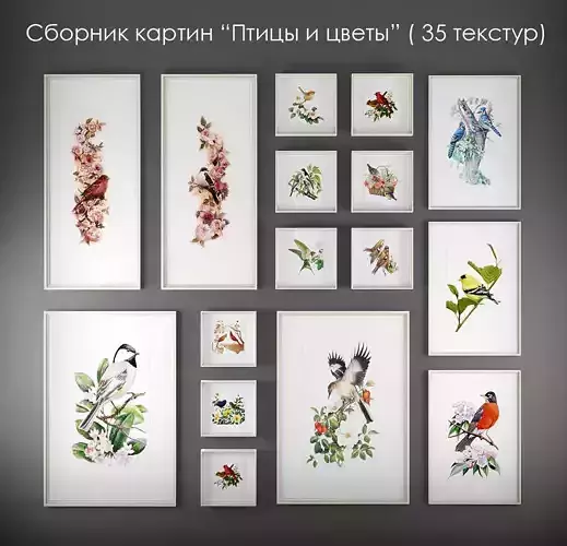 Picture Frames - Birds