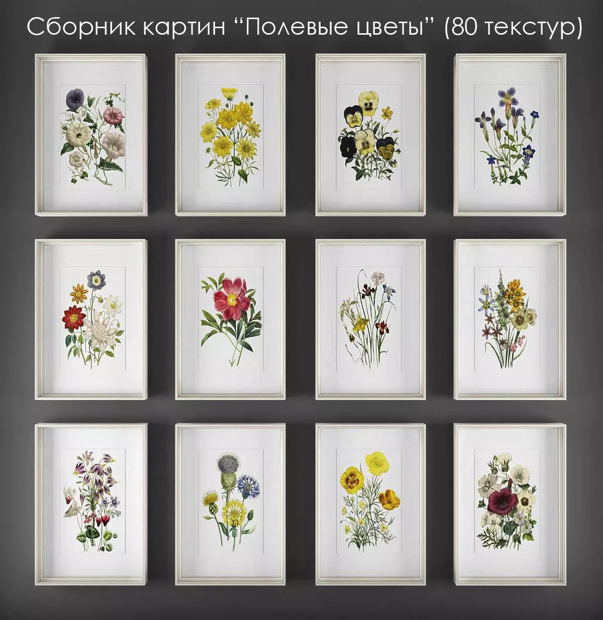 Picture Frames - Flowers 3D model_0