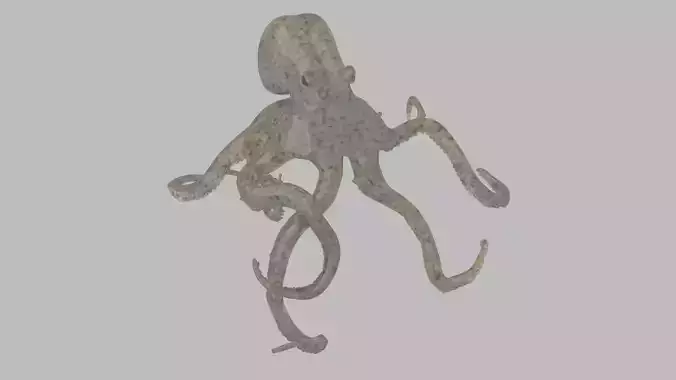 Octopus