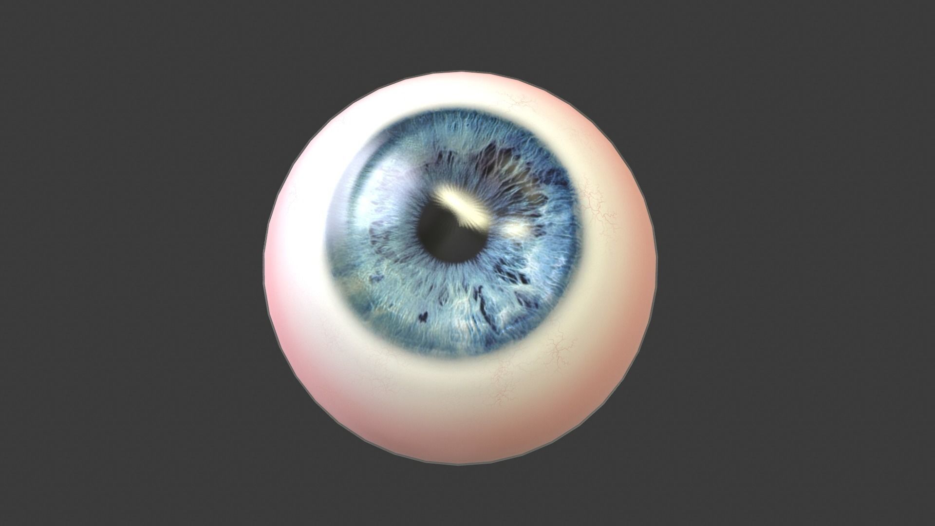 Eye Anatomy Low-poly 3D model_2