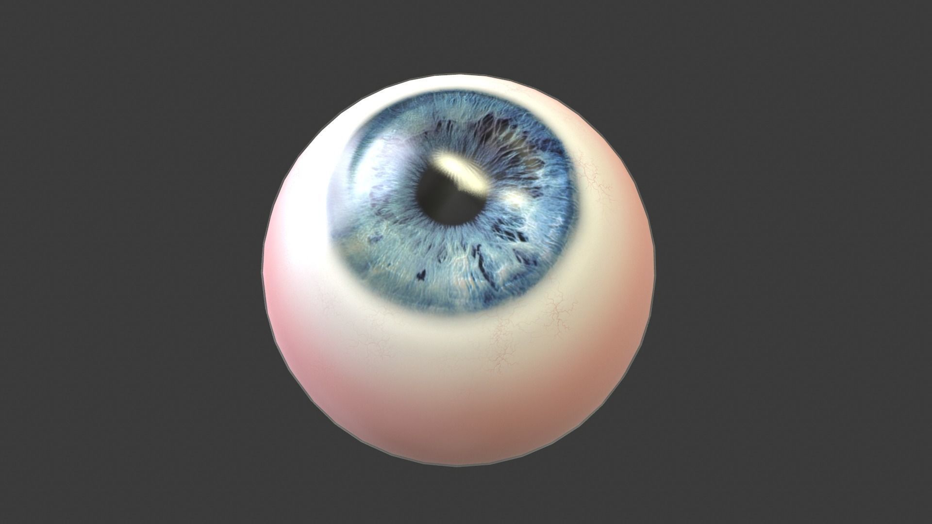 Eye Anatomy Low-poly 3D model_3